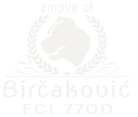 CANE CORSO - Empire of Birčaković